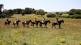 Excursiones a caballo por Menorca